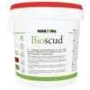 Impermeabilizzante Kerakoll Bioscud 1 Impermeabilizzante Kerakoll Bioscud -Strumenti Per La Casa BIOSCUDROSSO